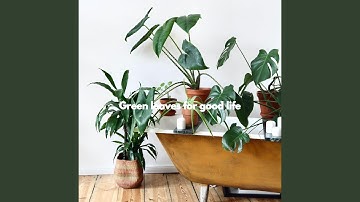 Smart Ambiance for Brave Keynotes