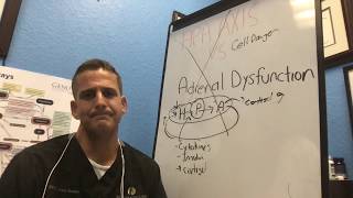 Download Lagu Adrenal Fatigue Vs HPA Axis Dysfunction MP3