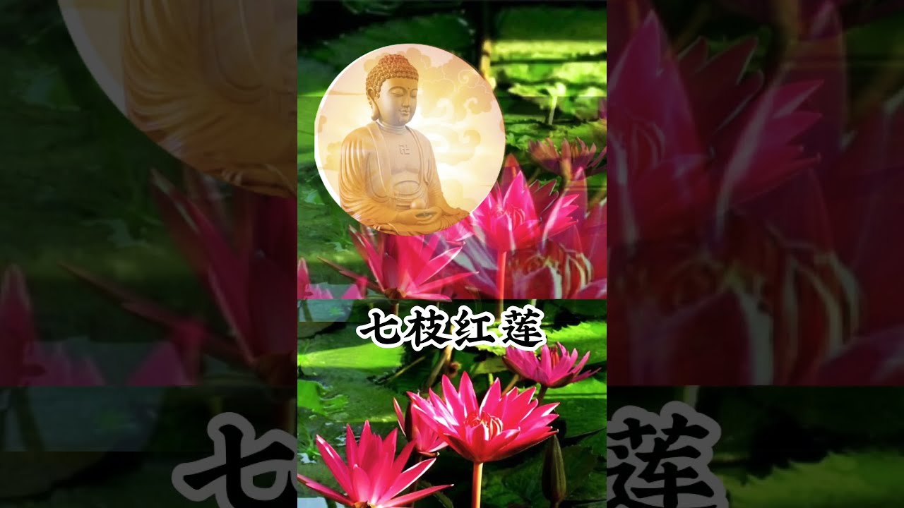 花供养 花奉献 Youtube