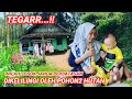 LUAR BIASA !! HARAPAN & CITA2 JANDA CANTIQ ANAK 5 DI KAMPUNG PERBATASAN YG INGIN JADI MILIUNER