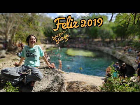 GRACIAS y feliz 2019🎉🎊🍄