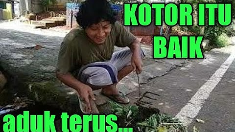 CARA MEMBUAT MEDIA TANAM JAHE MERAH DIDALAM KARUNG