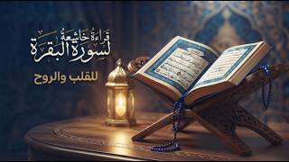 Сура Аль-Бакара | Surah Al-Baqarah | (سورة البقرة (كاملة