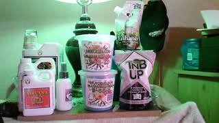 @NukeHeads seeds to harvest series episode #5/Monarch/BBR/SPONSORSHIP S/O