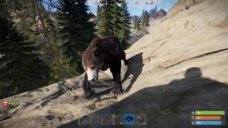 Rust - Man I Hate Bears...