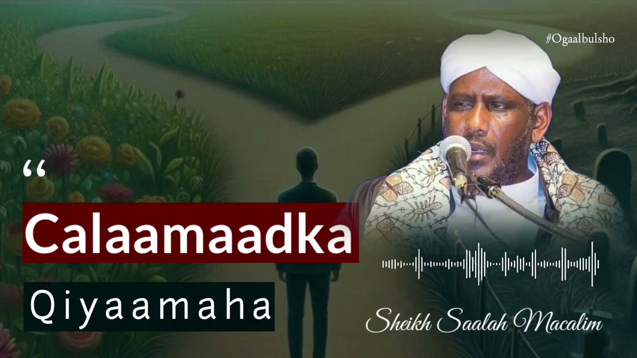 Calaamadaha Qiyaamaha || Sh Saalax Macalim @OGAALBULSHO #Sheekhsaalaxmacalim #qisooyin #muxaadaro
