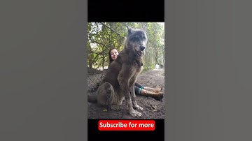 Things that are Bigger than you think (Part 2) #shorts #tiktok