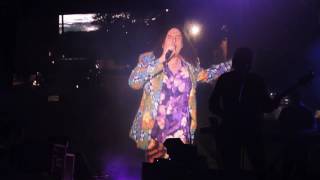 Weird Al Yankovic   &quot;Tacky&quot;