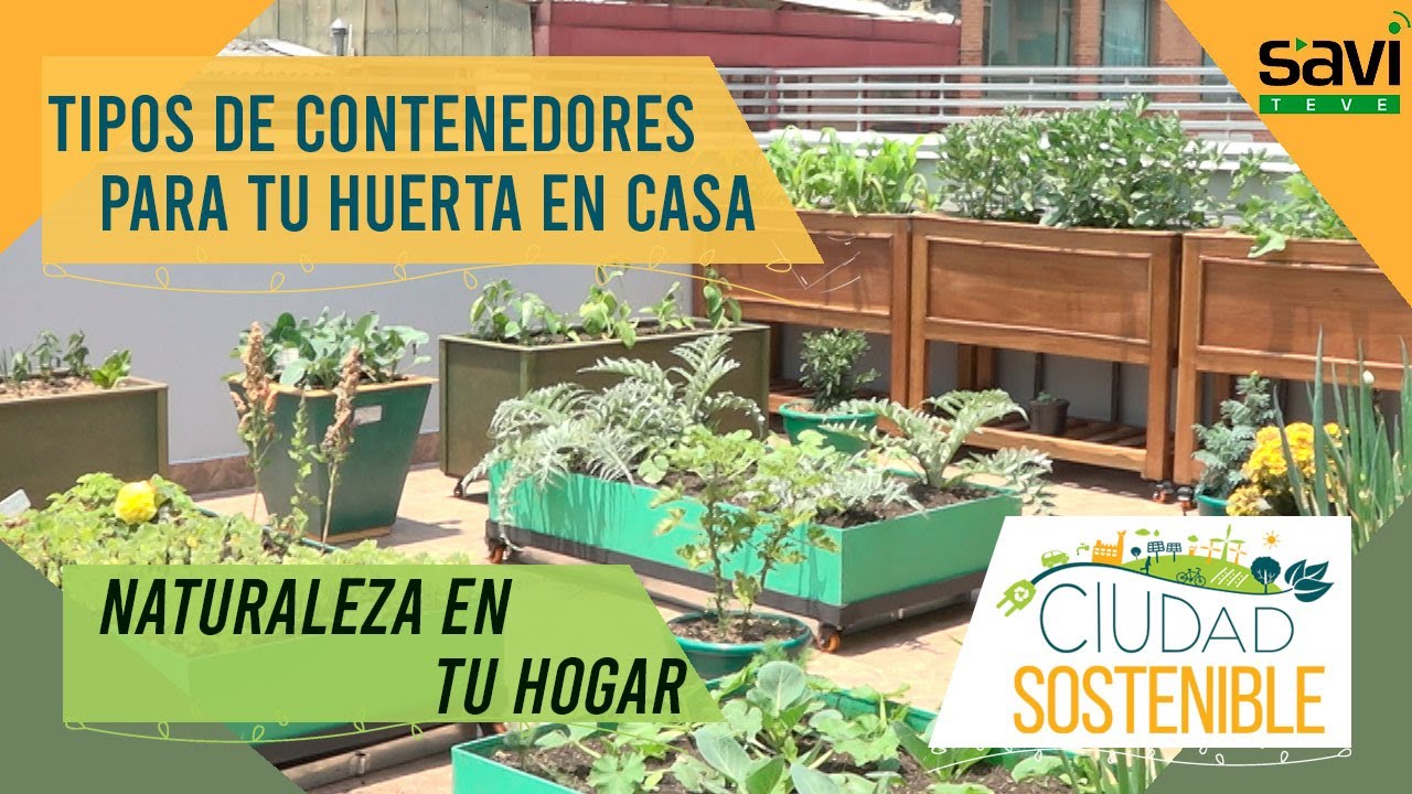 Cultivar un huerto en contenedores: soluciones para terrazas y patios -  Foto 1