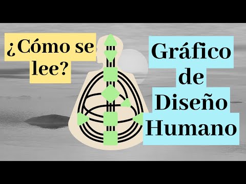 Video: ¿Qué son los canales en el diseño humano?