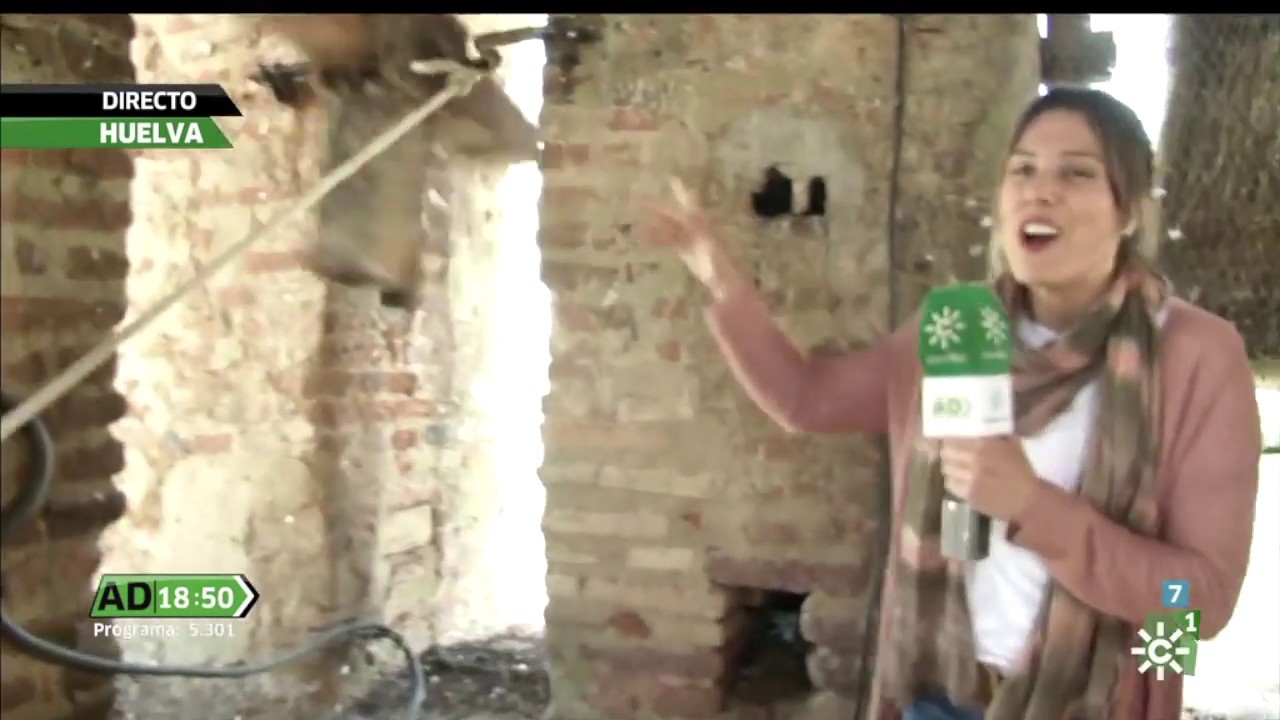 La Matraca en Andalucía Directo