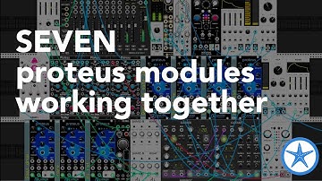 VCV Rack: Seven Proteus Modules