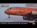 ✈️𓈒成田空港 📸生中継 【Narita international airport】 Live 📡【Gibson Narita】