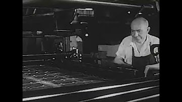 Week 3 - Assignment: Video Collage