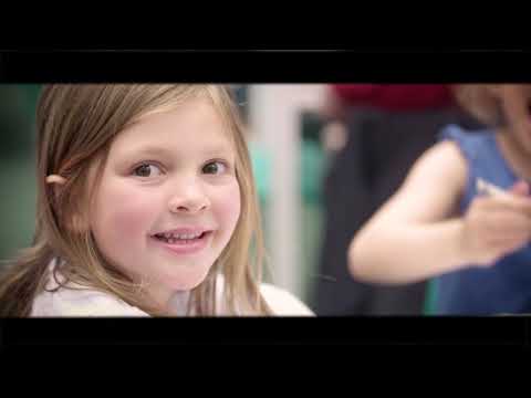 Tree Top Showreel 2019