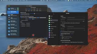 Using Zoom & iShowU Instant screenshot 3