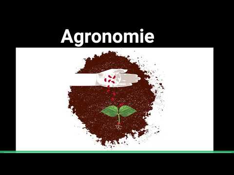 Vidéo: Différence Entre L'agronomie Et L'horticulture