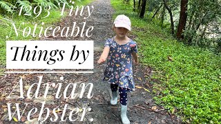 #Jims5amclub 1293 Tiny Noticeable Things by Adrian Webster (published 30 March 2021).
