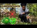 DIY Worm Composting System Setup – Full Garden Update Inside