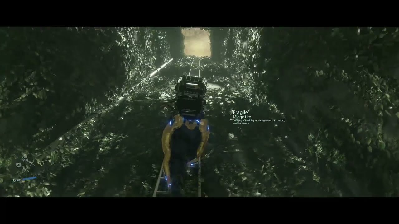 Death Stranding Snake Eater Ledder