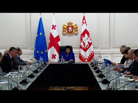 სალომე ზურაბიშვილი ევროკავშირის წევრი ქვეყნების ელჩებს შეხვდა