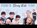 A GUIDE TO STRAY KIDS’ V LIVES