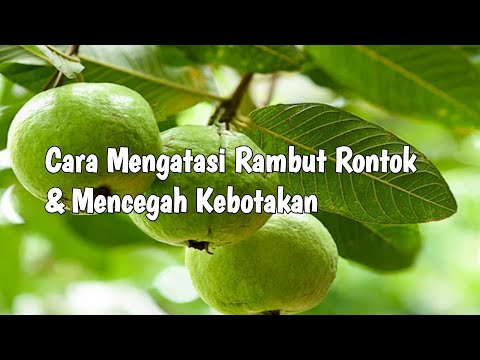 Solusi Rambut  rontok  dan  mencegah kebotakan YouTube