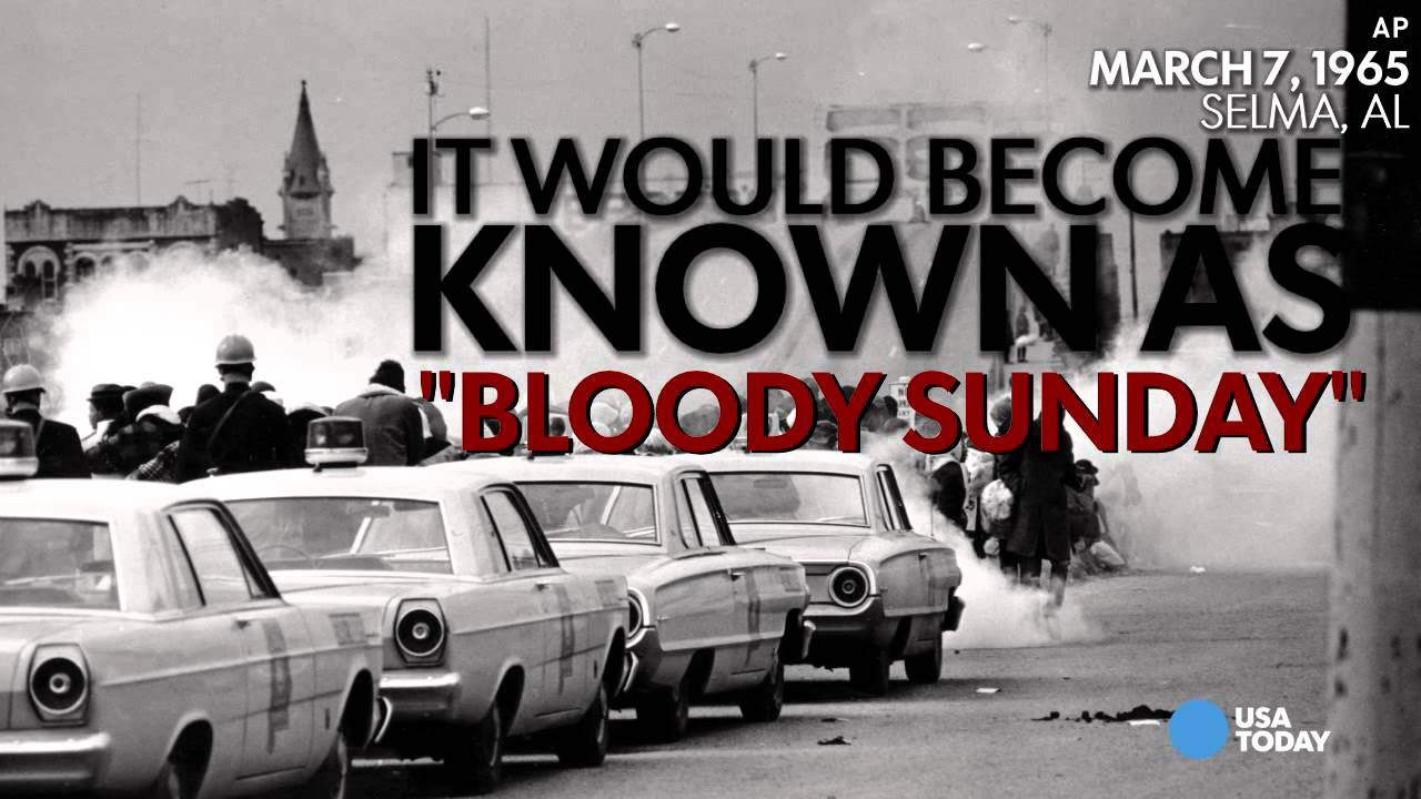 Selma: Everything you didn't know but wanted to ask