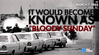 Selma: Everything you didn't know but wanted to ask