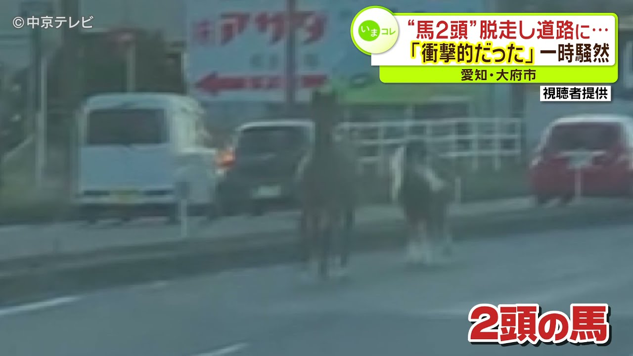 大府 市 事件