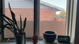 Magic Hour