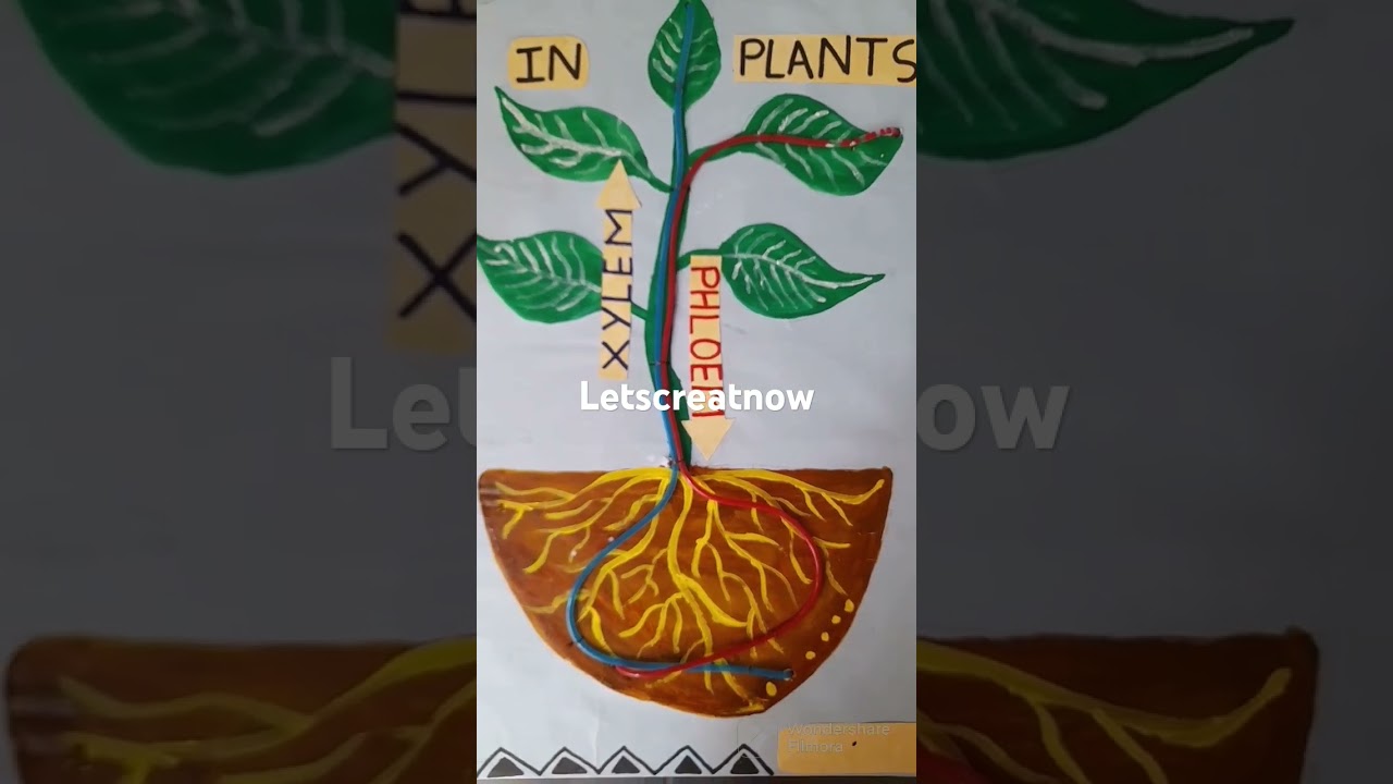 Transportation in plant 3D working model 