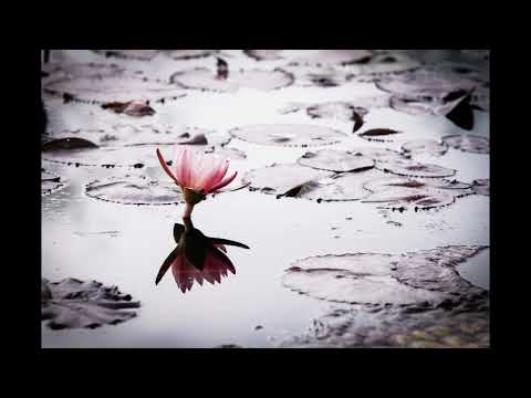 《出尘》Eng Sub | Pinyin - letting go