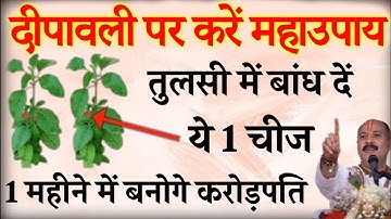 12 नवंबर दिवाली के दिन तुलसी में बाँध दे  यह 1 चीज बनोगे करोड़पति- Pradeep mishra