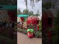 Visiting Mapro garden in Mahabaleshwar😍🍓 #trending #ytshorts #foddie #dailyvlogs #minivlog #viral
