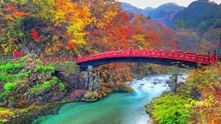 Peaceful Relaxing Instrumental Music, Meditation Soft Music Golden Pathway