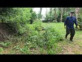 Continued work cleaning back fenceline for dog rescue