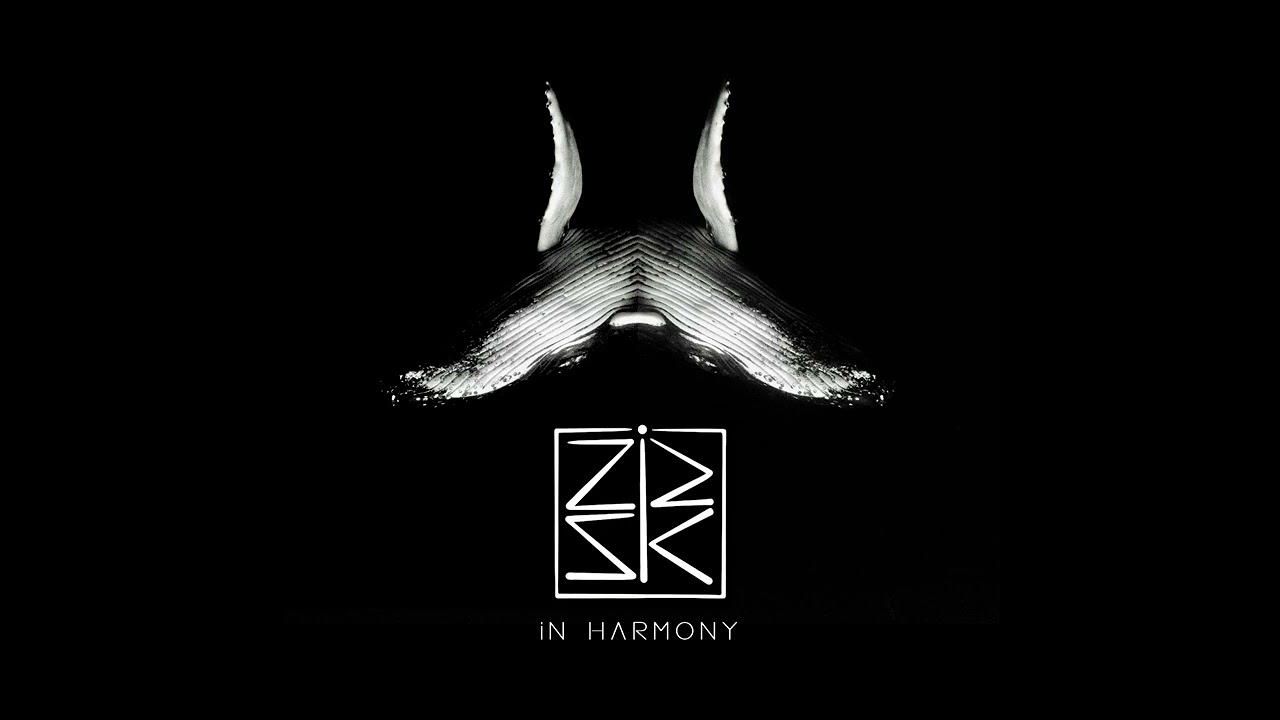 Zsirk - In Harmony
