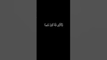 #القارئ عبدالرحمن مسعد