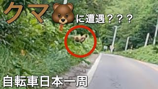 クマに遭遇？？【自転車日本一周】