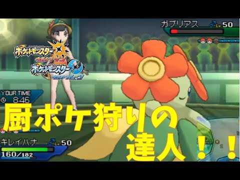 Usum キレイハナのおぼえる技 入手方法など攻略情報まとめ ポケモンウルトラサンムーン 攻略大百科