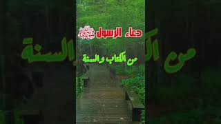 اللهم رب السموات ورب الأرض ورب العرش العظيم ربنا ورب كل شيء