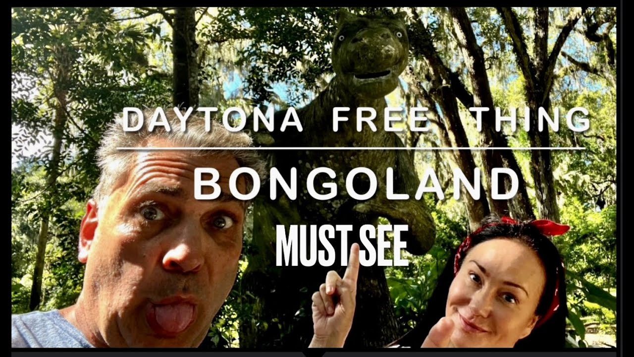 BONGOLAND a Free attraction to see in DAYTANO BEACH