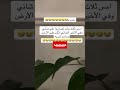 تضاربوا على شاني Keşfet اكسبلور تحشيش نكت ضحك Explore Foryoupage Viral Duet Shorts 