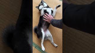 アタチは元気ですけど。