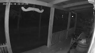 Paranormal or no Light Balls, Orbs caught on security camera.