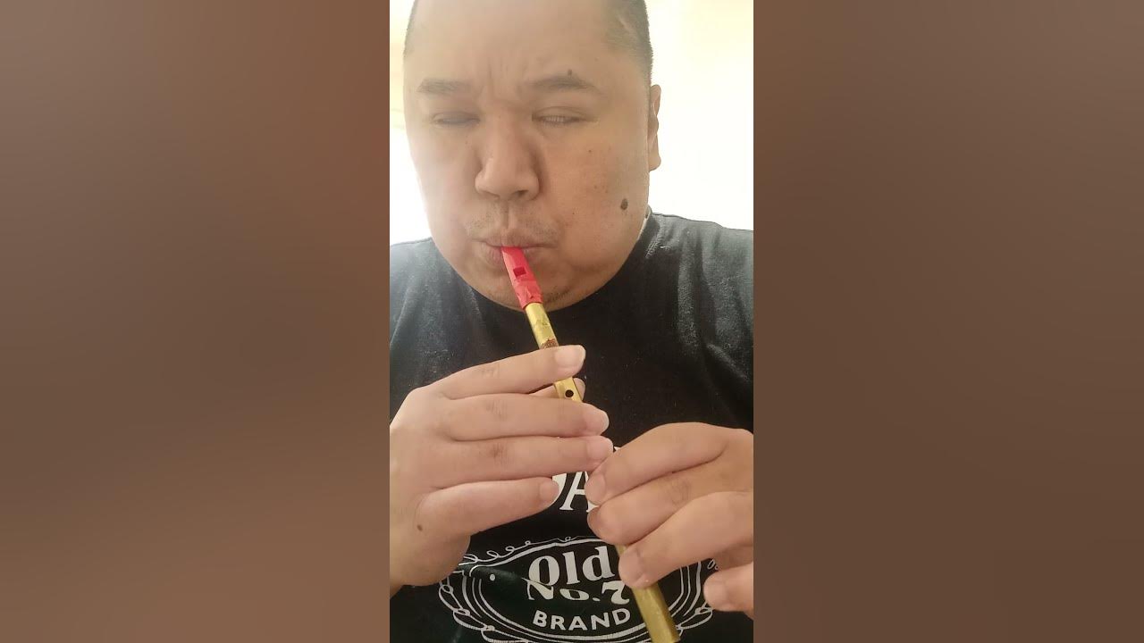 medieval dance (tin whistle original song)