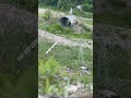 The build up #dance #1millionviews  #nature #birds #trending  #fishing #growyoutube #1000subscribers