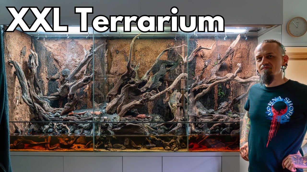 XXL Terrarium für Pfeilgiftfrösche einrichten!