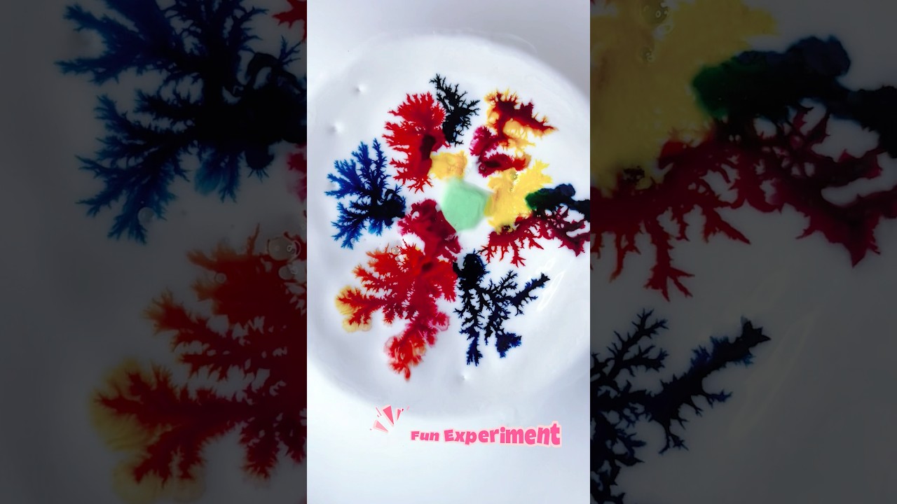 Science Experiment | Fun Experiment 